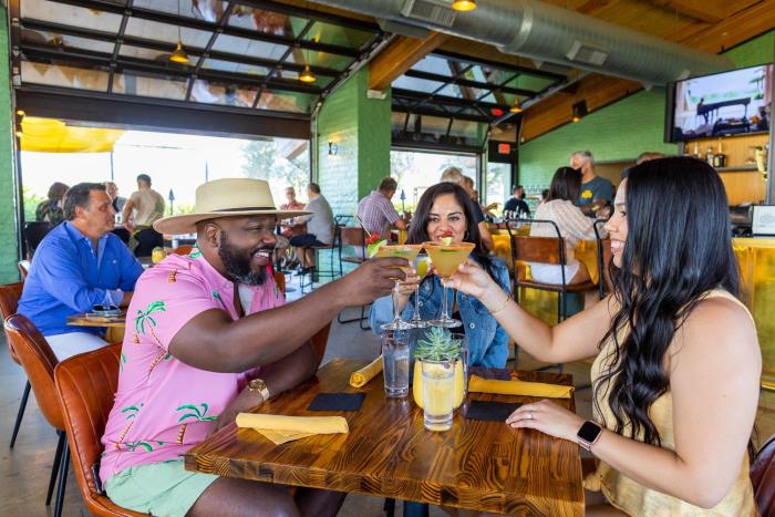Guests toasting their drinks