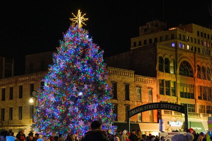 Stroll on State Tree Lighting