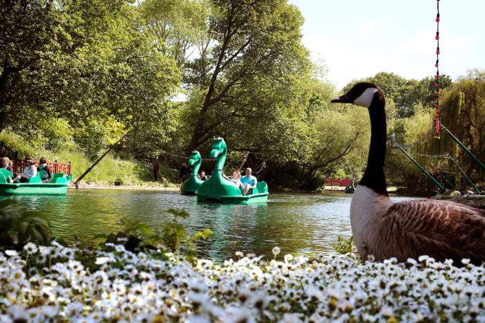 Pedalo on Peasholm Park lake