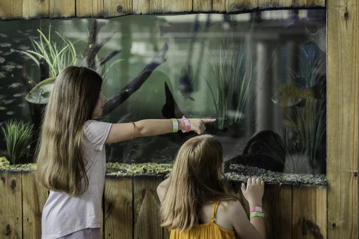 sciport discovery center aquarium