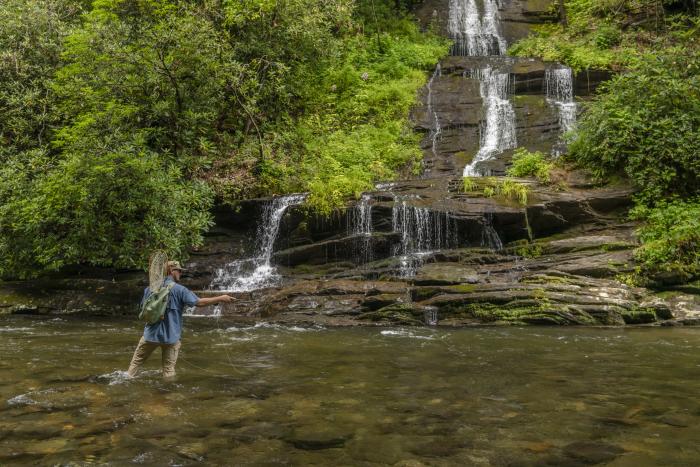 Fly Fishing at Deep Creek