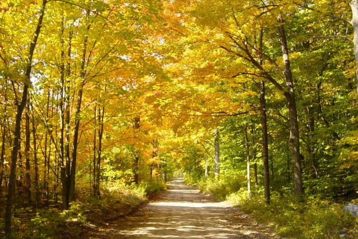 Fall Road