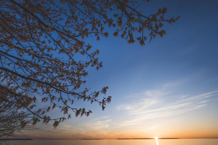 Springtime Sunset