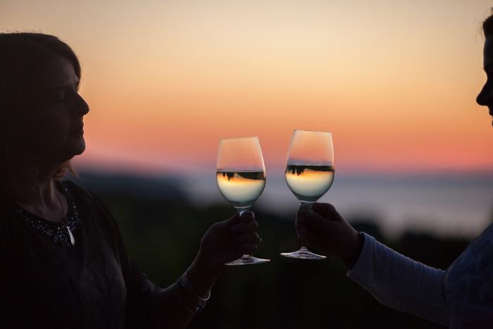 Summer Wine Tasting In Traverse City 2020 Reservations
