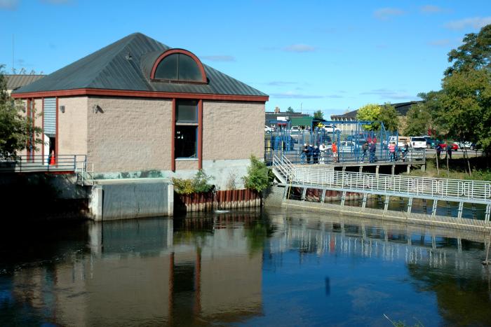 The Fish Weir Traverse City Mi