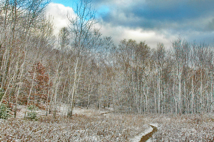 Winter Walks In Traverse City Mi Five Areas To Explore