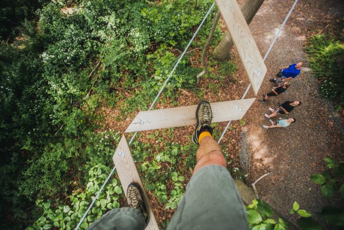 Go Ape Treetop Adventure