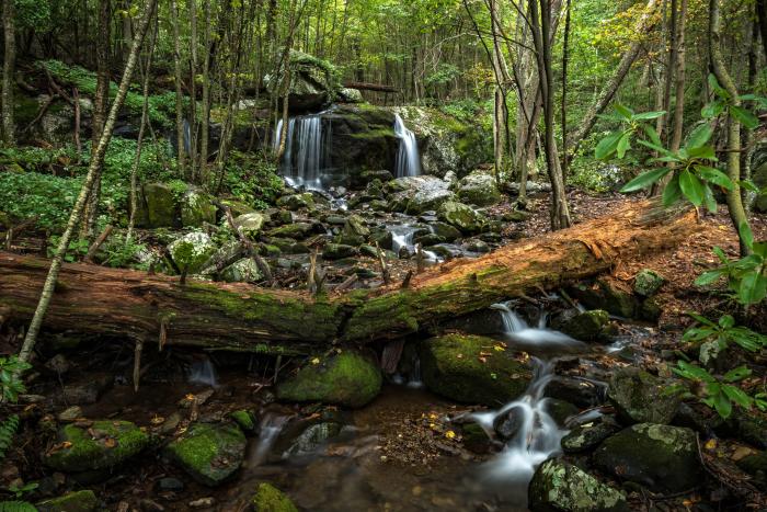 Apple Orchard Falls