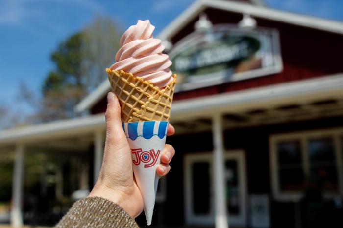 Ice Cream Places: 27 Yummy Ice Cream Shops with the Best Scoops 