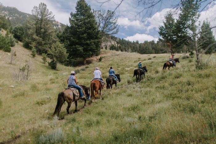 A group of riders on horseback traverses a lush green hillside, surrounded by trees and under a partly cloudy sky.