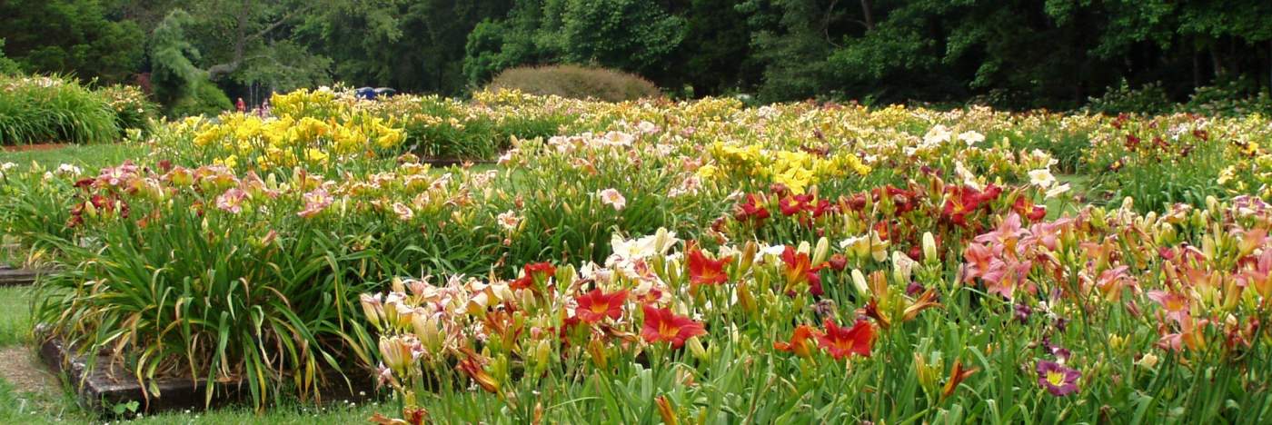 Huntsville Blooms