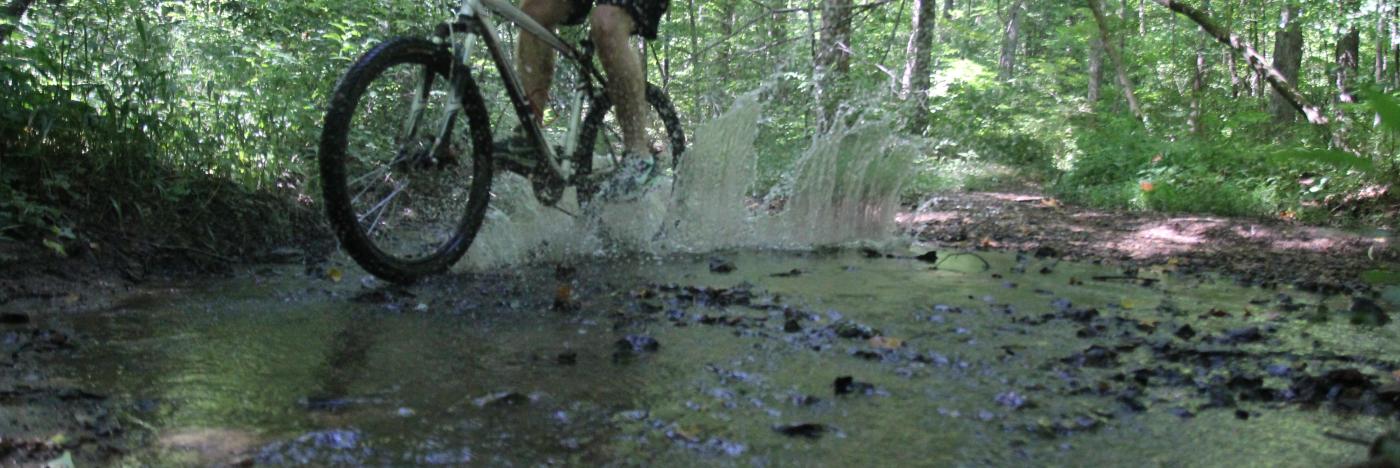 Wapehani mountain bike 2025 park