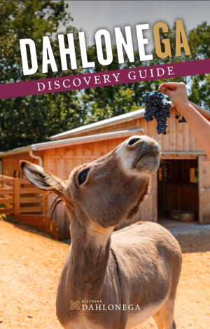 2025 visitor guide