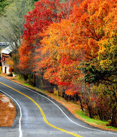 Road in Fall