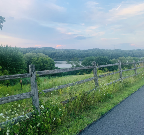 This photo depicts a view over the Blatnick Park hill portion of the Mohawk-Hudson Bike-Hike Trail. Beyond a wooden fence, luscious wildflower fields, the smooth Mohawk River, and trees can be seen.
