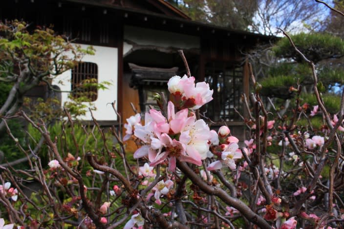 Japanese_Garden_22_by_Edna_Takeda_Geller