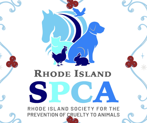 Spca providence clearance