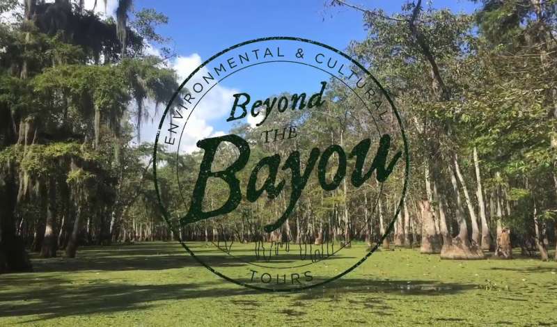 Beyond the Bayou: Environmental & Cultural Tours