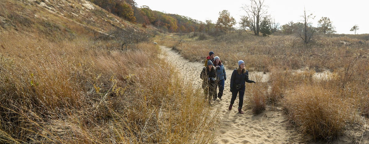 Hiking in the Fall - Indiana Dunes