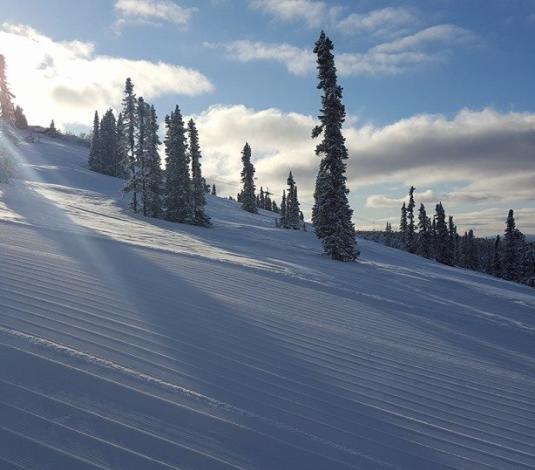 Ski Land