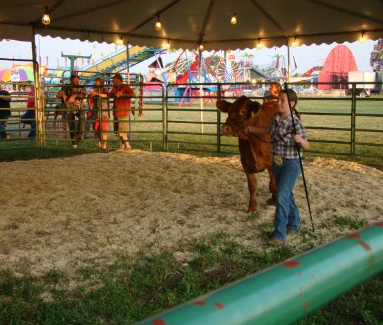 Wyandotte County Fair