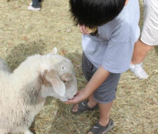 Wyandotte County Fair