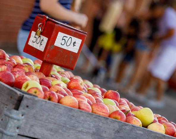 Nappanee Apple Festival