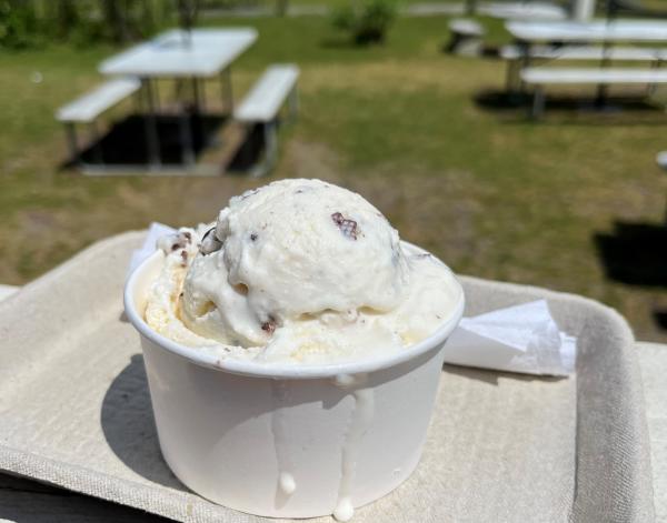close-up, horizontal image of a cup of Gillis Hills ice cream