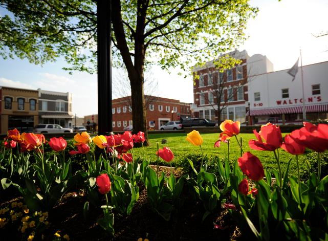 Bentonville Square with Tulips