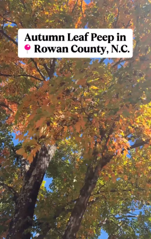 Thumbnail of a Autumn Leaf Peep in Rowan County Instagram Reel