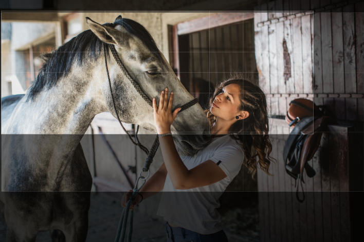 Multi-cultural woman with a grey and white horse in the aisle of a barn