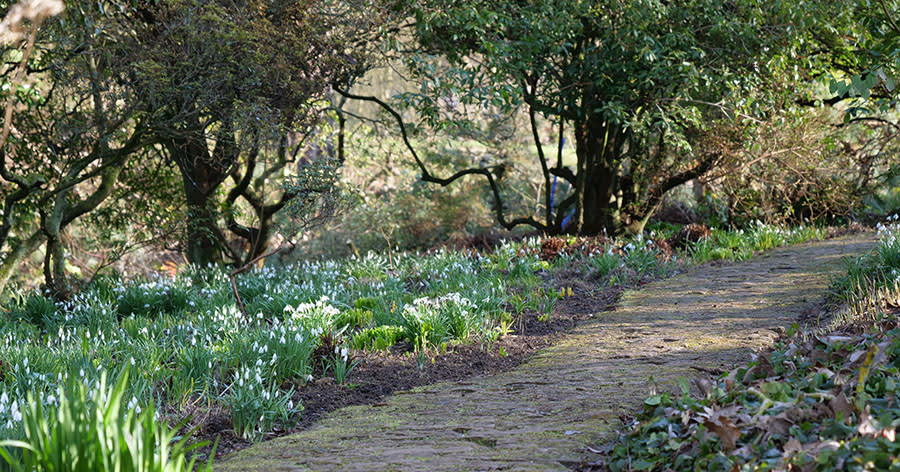 Hidcote