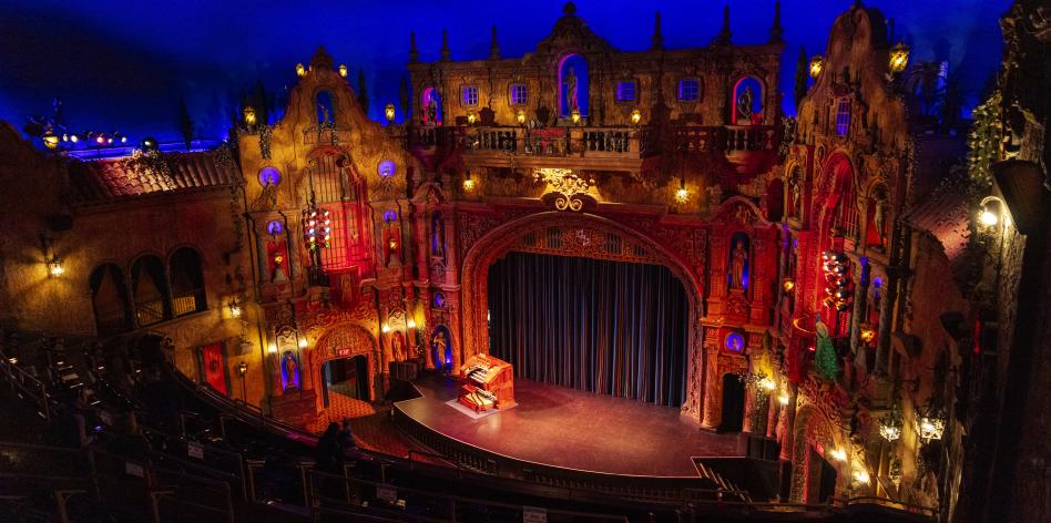 Tampa Bay Virtual Experiences