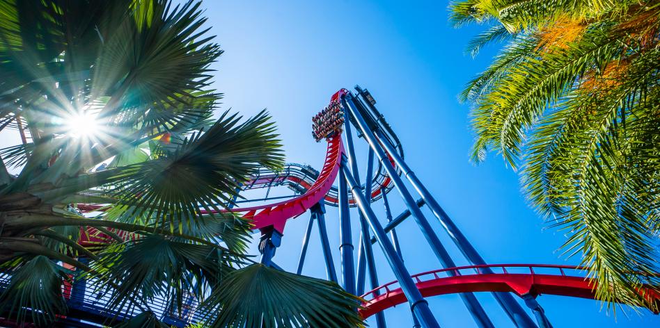 Busch Gardens® Tampa Bay Shiekra