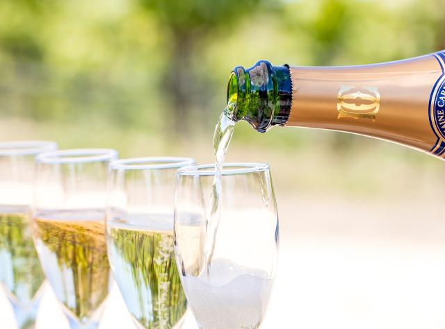 Sparkling Wine: Best Bubbles in Napa Valley