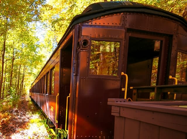 Catskill Mountain Railroad In The Fall