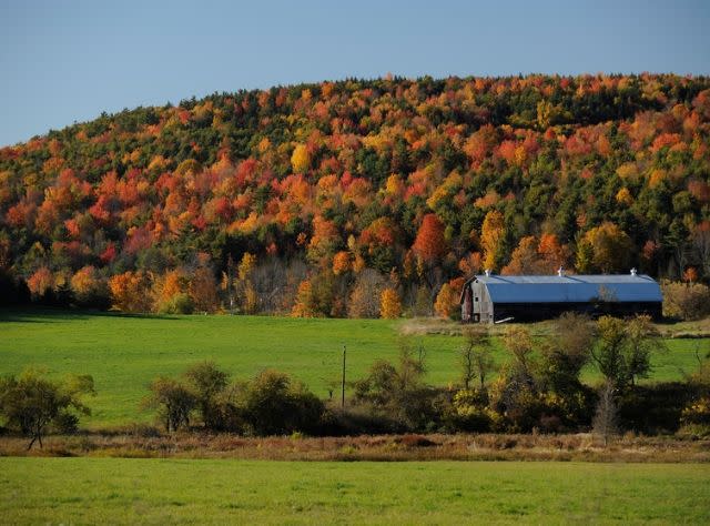 Fall Views Schoharie County along Route 30