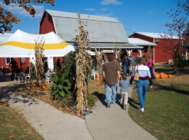 New York Events Shows Festivals Sports Art I Love Ny