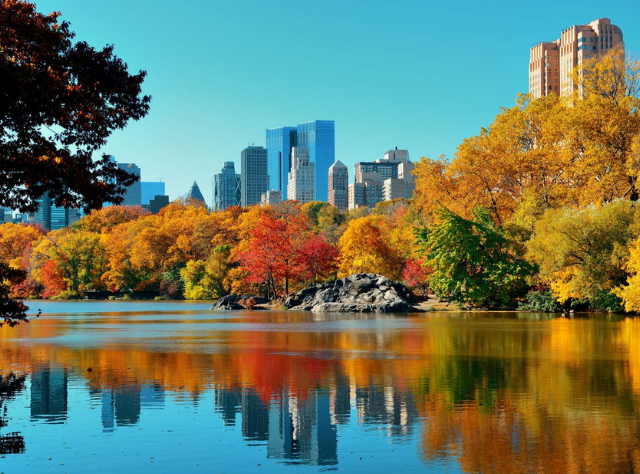 Central Park pond and rock surrounded by fall foliage with skyscrapers in the background