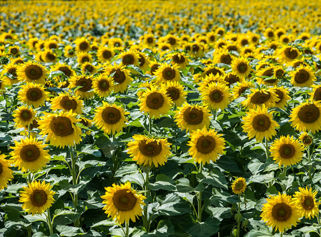 New York Outdoor Activities | Hiking, Biking, Camping