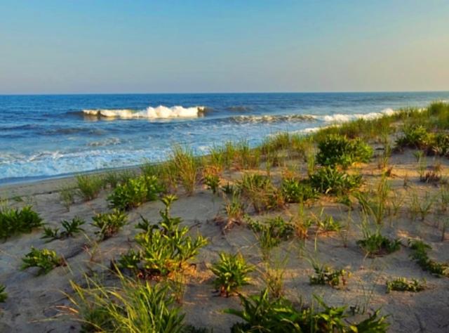 New York Beaches Swimming New York State Tourism