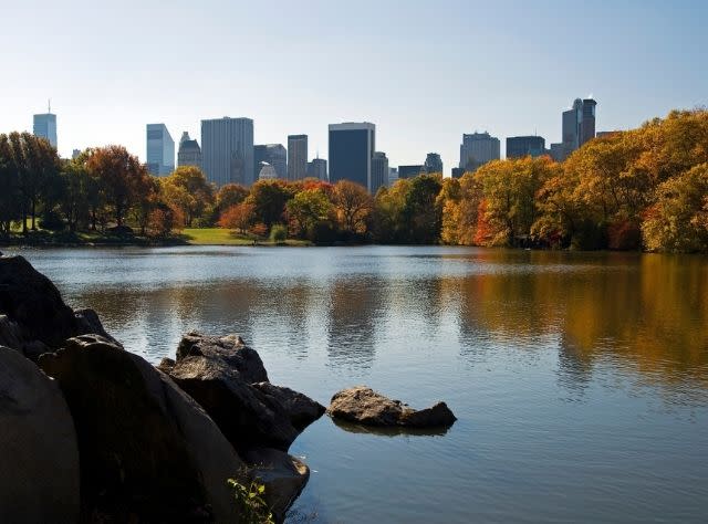 Rocks, water and fall foliage in Central Park