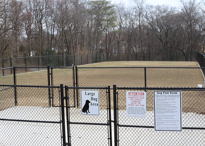 Matthewstown Harmans Dog Park