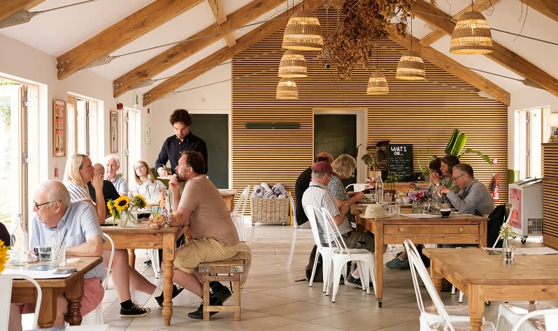 People dining in Roots & Seeds's airy restaurant