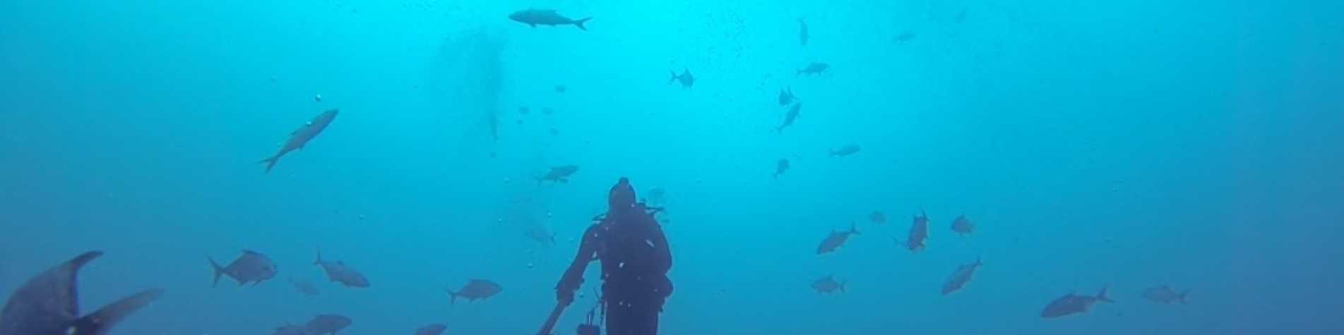 8 Diving Charters Tours S In Panama City Beach Water Sports Tours S In Panama City Beach