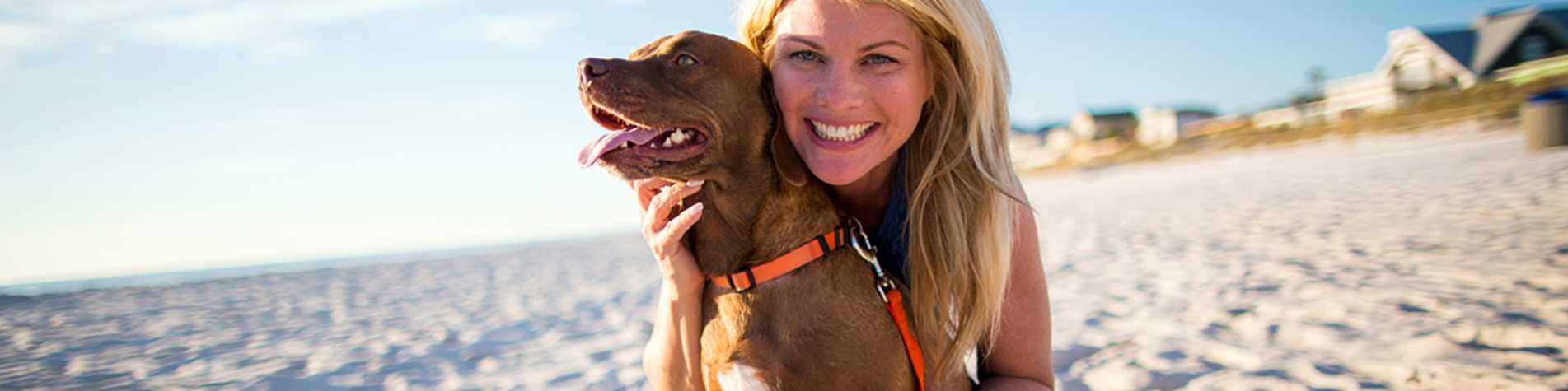 30 Pet Friendly Hotels Places To Stay In Panama City Beach Fl