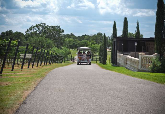 Texas winery list deals