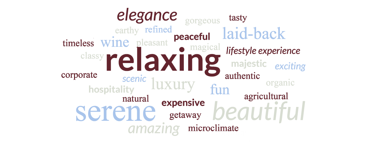 Visitor Activities word cloud