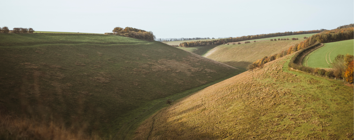 A scenic view of the fields across the Yorkshire Wolds.