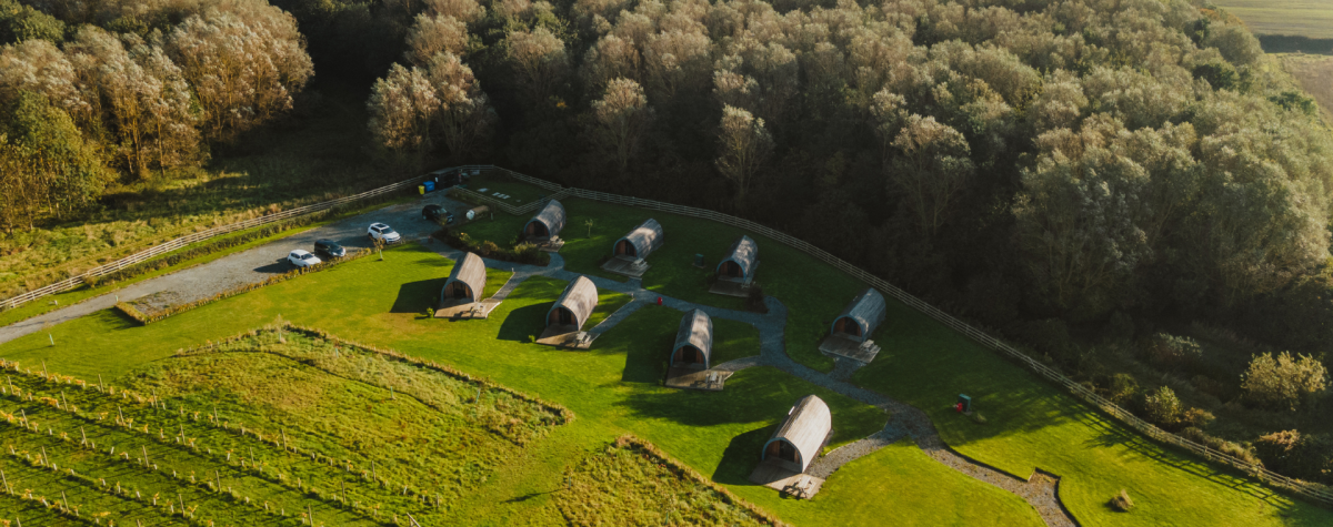 An aerial view above Flamborough Glamping and Vineyard. Eight glamping pods look out onto a newly established vineyard and are backed by lots of mature trees.